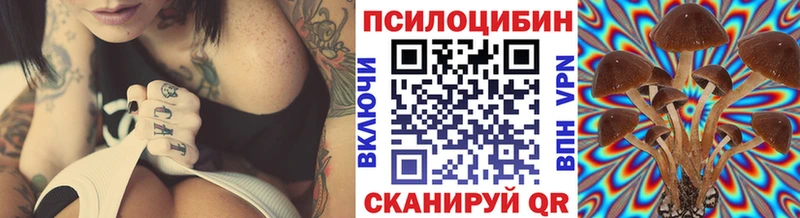 где купить наркотик Таруса Галлюциногенные грибы Magic Shrooms