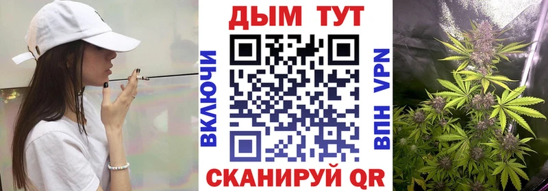 Бошки Шишки план  Таруса 